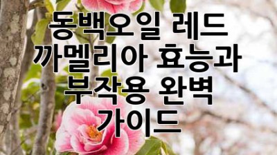 동백오일 레드 까멜리아: 효능과 부작용 완벽 가이드